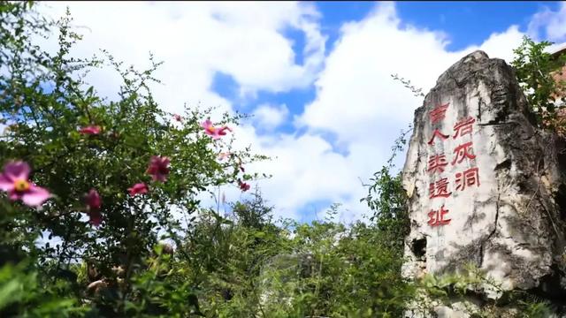 桐梓4条避暑康养路线，解锁你的夏日疗愈之旅！