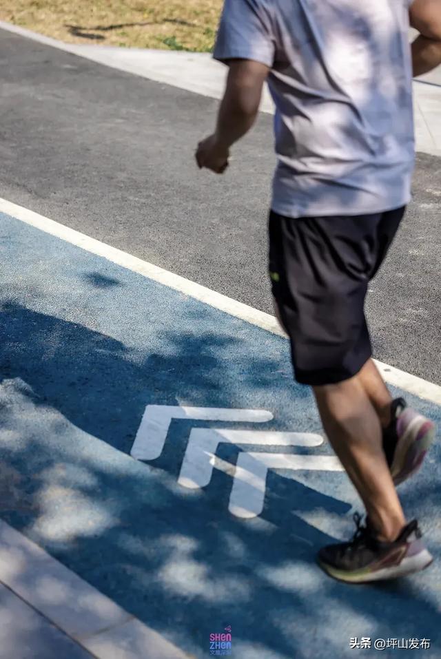 看完你的 看你的，坪山这片格桑花海承包你的秋日治愈感！