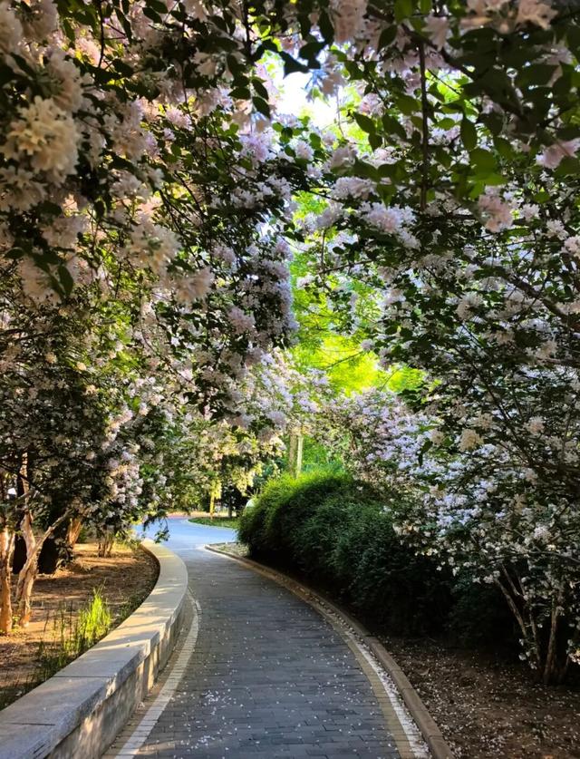 辉煌“十四五” 奋进石景山③——风起京西 焕活新韵