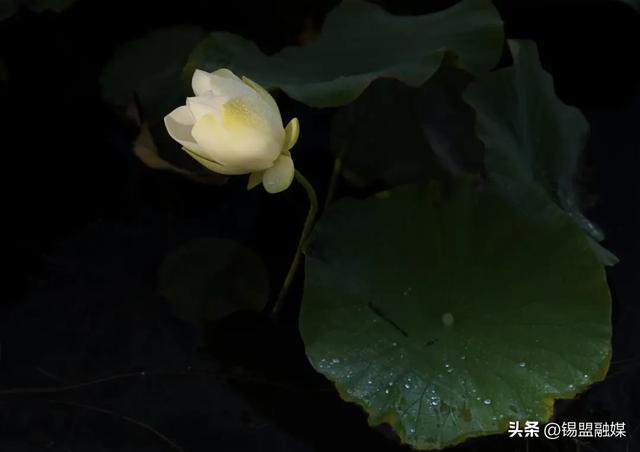 出片率100%！就在锡林浩特，赶紧安排→