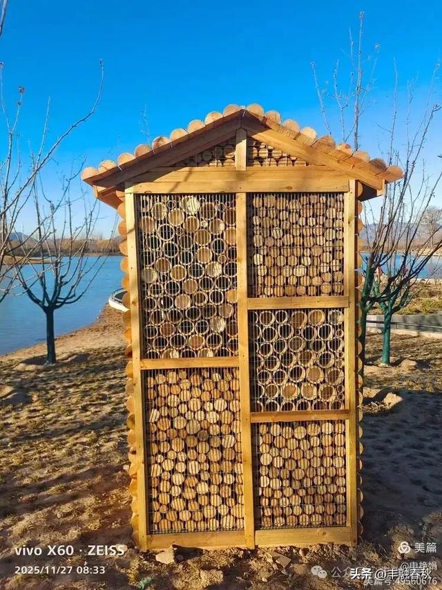 初冬北京玉河湿地公园游记|申艳娟