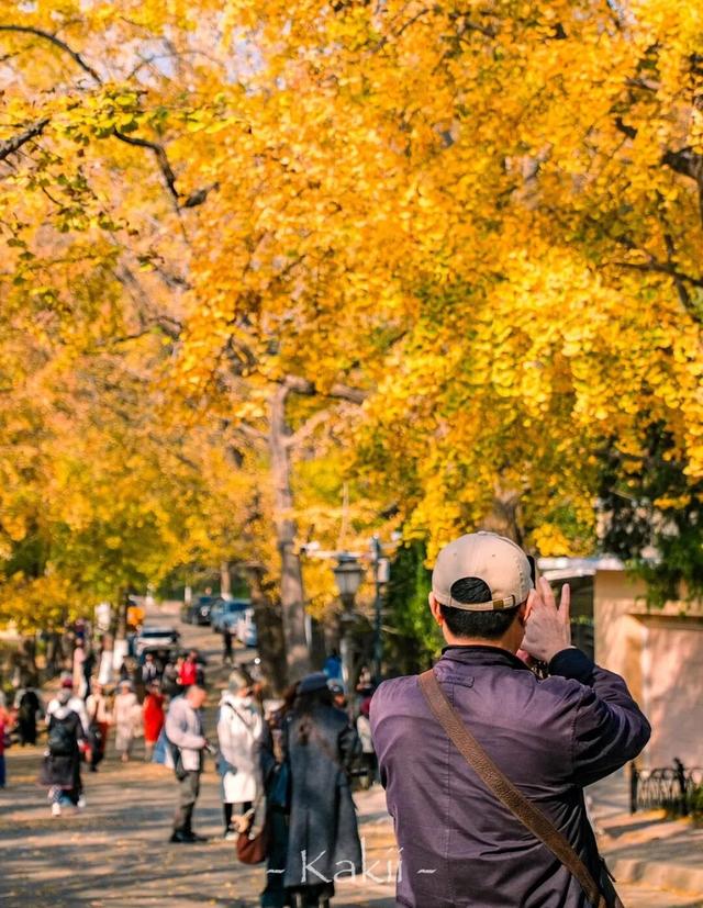 市南的2026，应该这样过...