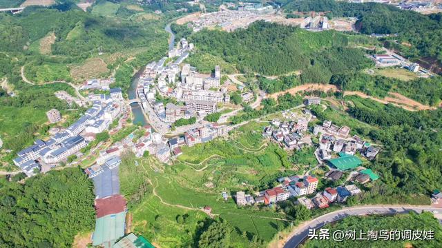 网络文章应标明虚实，净化环境需多方合力