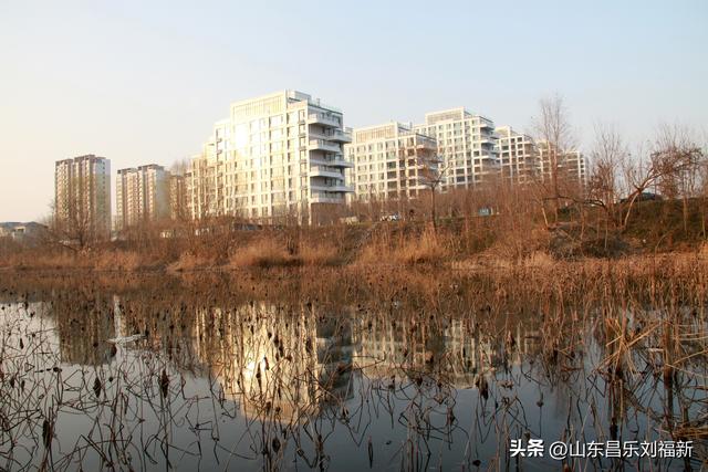 这一次外出闲游感慨颇多