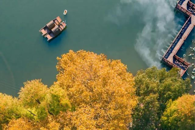 音乐嘉年华后别走！黄陂还有隐藏副本等你解锁！