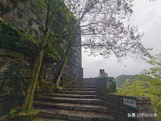 寻找一片僧人墓地，佛门高僧竟然最后落得尸骸无存