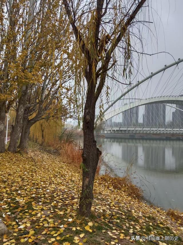 威观宁夏：为银川“赛江南”正名！期待这样的银川吗？