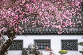 28首生日诗词，贺生辰，祝好愿，一年还似一年长图片