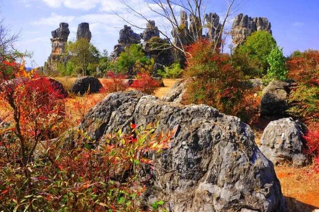 明确了！这些景区对全国公安民警免票！