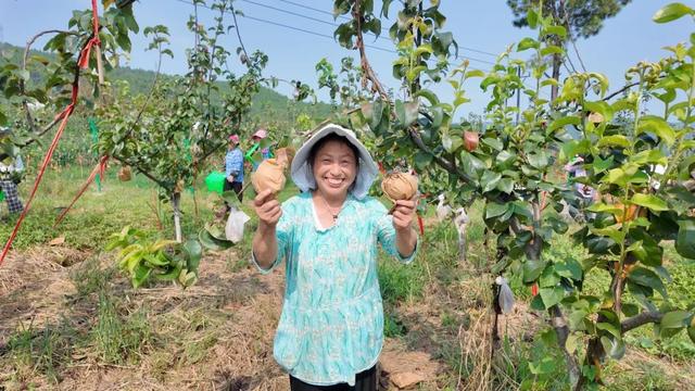 广元不远 周末优选 | 我承认，我就是“水果脑袋”！