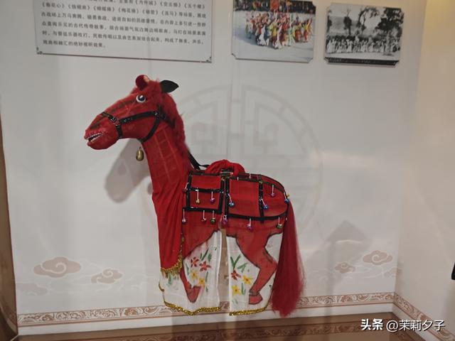 福鼎市区一日游：从白茶发源地到市井小吃赏唐风建筑品山海韵味