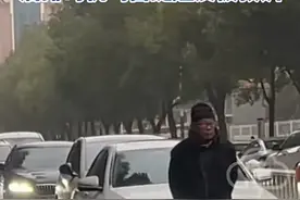 南京遛狗大爷火了，司机劝阻反被怼，网友怒了：退休金该降降了！图片