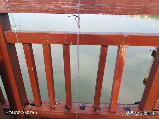 全国文明城市柘城县国家湿地公园榕湖斥巨资升级的人行栈道现状
