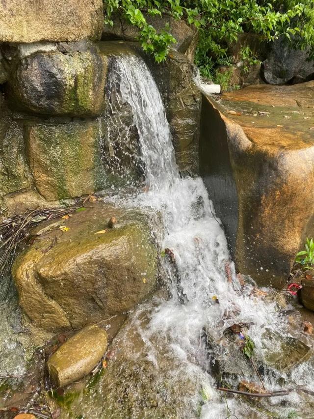 苏州这些地方只有27℃！进来“划水”！