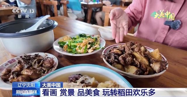 湿地候鸟翩跹 荷塘万亩飘香 看大美中国绿色发展新画卷