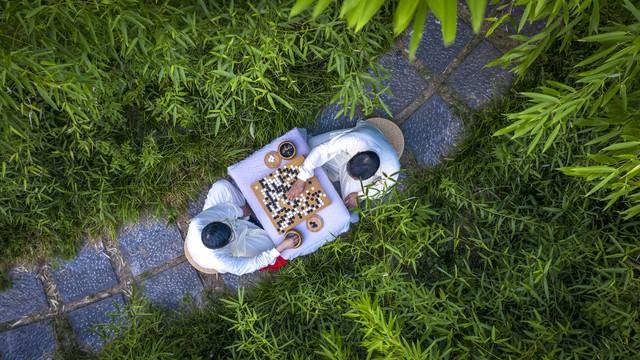 魏晋有九品，东吴有棋圣！三国围棋排名，答案出人意料？