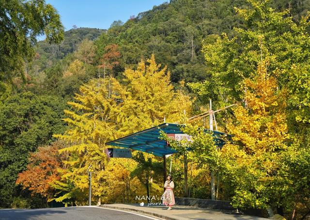 漫游韶关，赴一场山水间的秋日之约