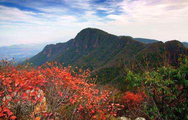 不藏了，河南5个禅意秋景点，帮你在市井中奔波的你寻回内心宁静