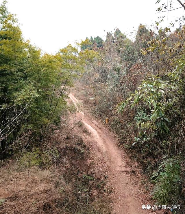成都龙泉山爆红徒步路线，享受超级梭梭板，大人小孩都喜欢！
