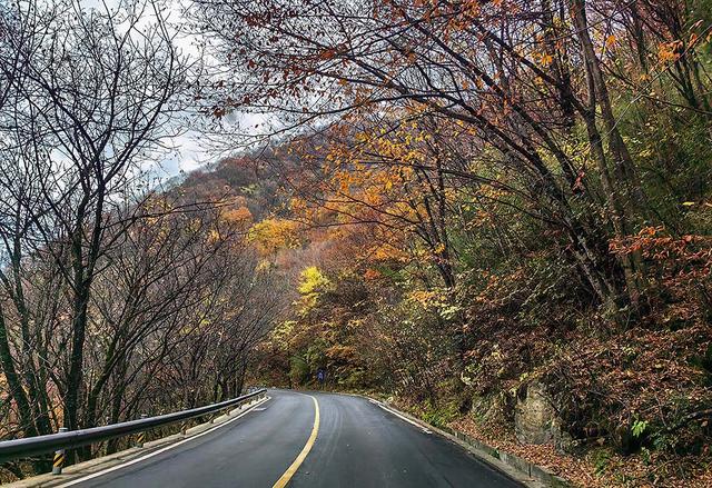 2024深秋四川行19 神农架风景区2 华中屋脊的五彩秘境
