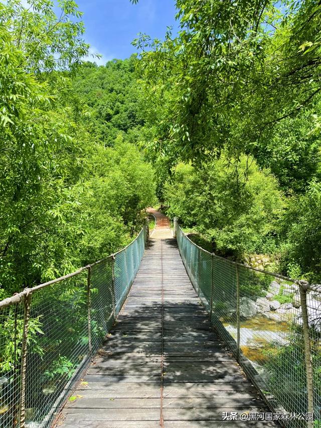 夏季避暑有“凉”方,黑河山水邀你共赴清凉盛宴!