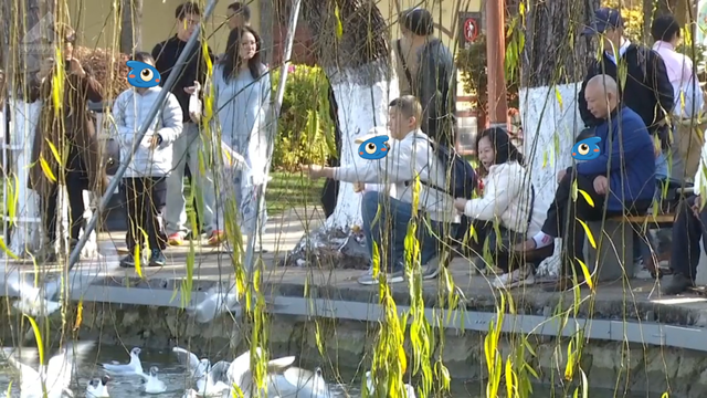 观鸥更方便！全新移动服务“神器”来了！