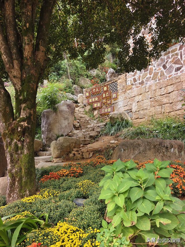 篁岭晒秋正当时！邂逅“最美中国乡村”的限定色彩