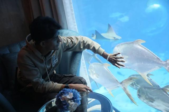 东盟网红漫游海南自贸港采风行走进三亚：邂逅水底套房的梦幻 畅享科技魅力