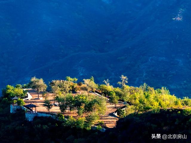 诚邀您共赴一场焕活身心的“森”呼吸之旅！