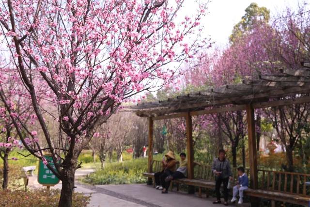 满目皆春！一起邂逅三月好风光