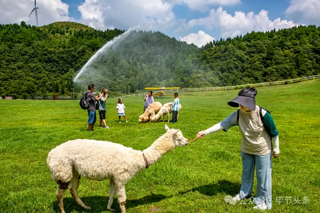 25元直达！打卡《乌蒙深处》取景地