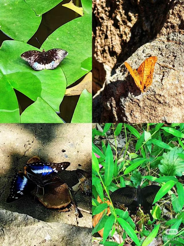 临沂，你真的好风光！！