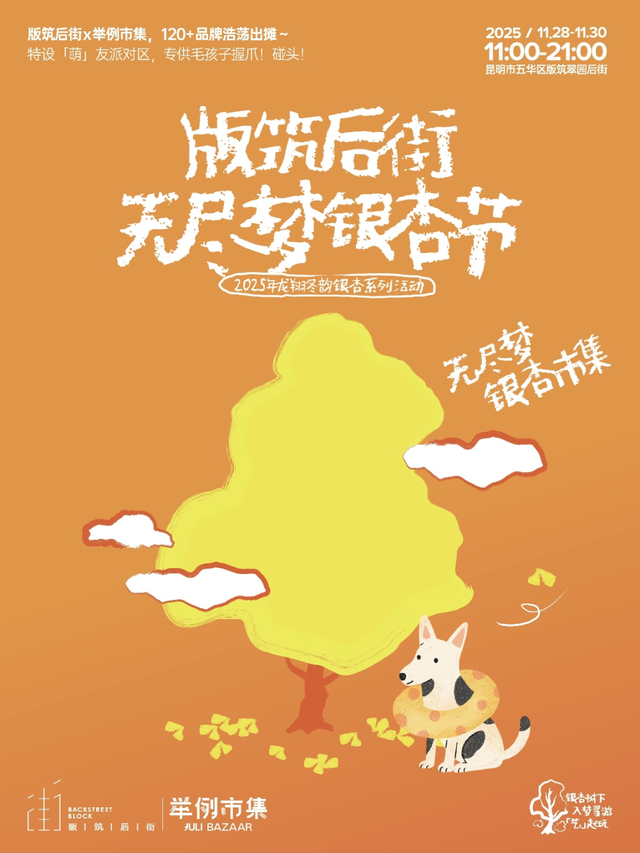 谁懂啊！昆明把冬天过成童话：观鸥、赏银杏、逛市集还能炫咖啡！