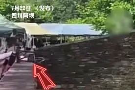 怒了！四川女子朝熊猫福宝扔折叠椅，工作人员：处理结果没那么快图片