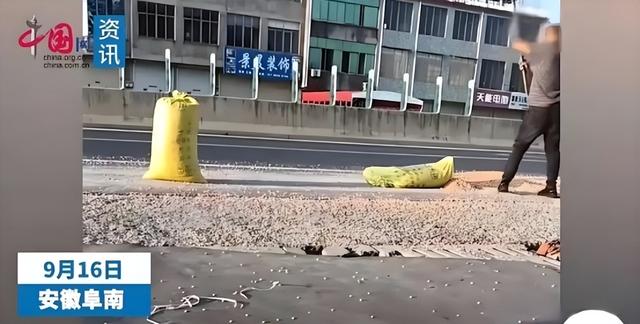公路晒粮食图鉴！石头拦钉板放碎玻璃片！“死神来了”在乡村重演