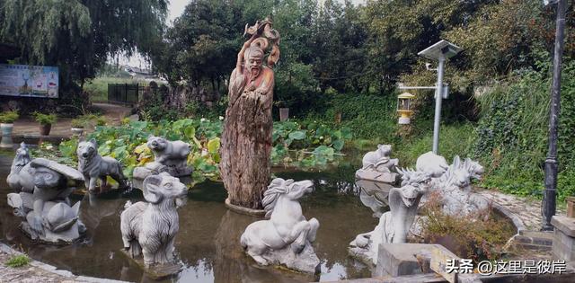 乘旅游专线游丽江的观音峡