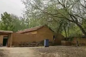 俗语“东高西洼富三世，老树压墙辈辈穷”，啥意思？有啥说法呢图片