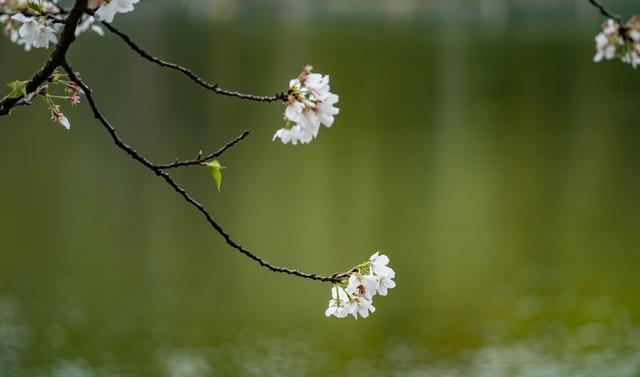 情人走到这一步就是缘分将尽的信号！