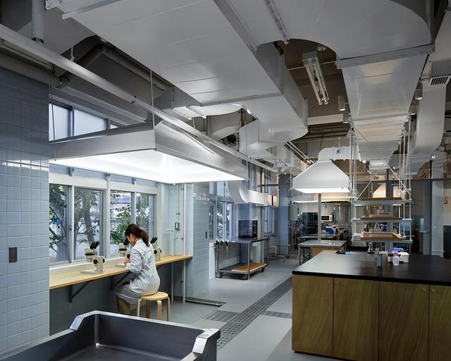 小设备也能跑AI！大阪大学黑科技提速10万倍，多行业要变天