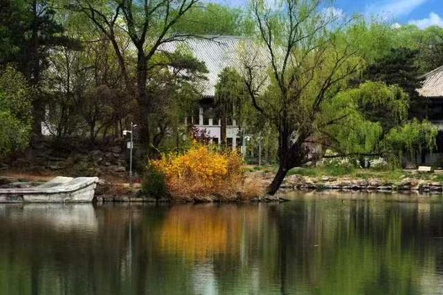 北大学子镜头中的燕园美景