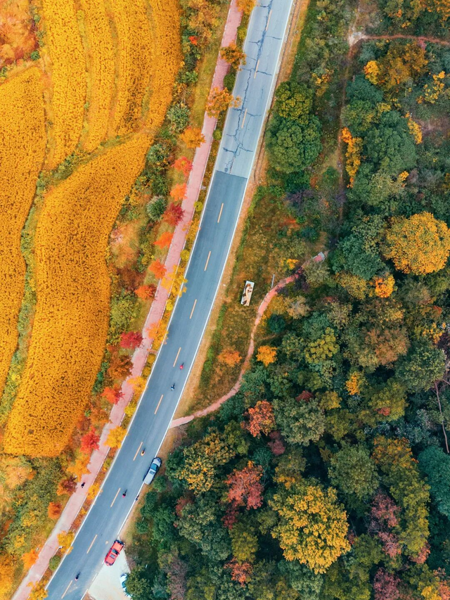 来木兰湖！把周末调成「户外模式」