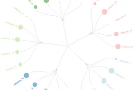 [R语言] 基于R语言实现树形图的绘制图片