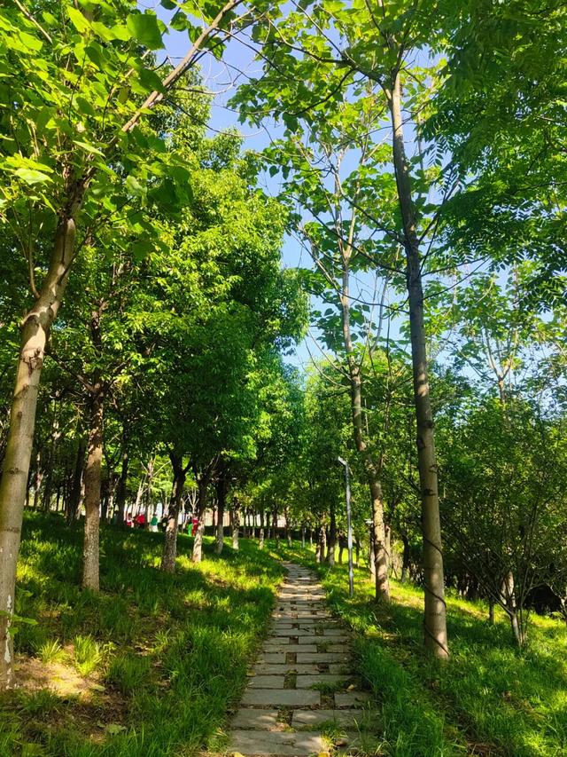 收藏！九江这些宝藏公园，承包你一整年的休闲时光