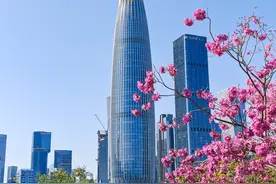 如果只在深圳待一天，这条City Walk路线强烈安利给你！图片