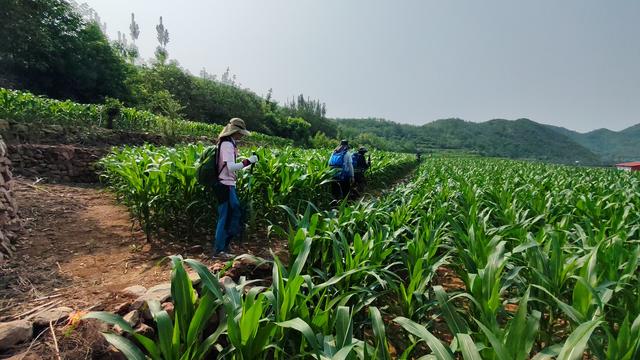 中伏天爬山体验，记石家庄鹿泉常河-北紫沟-南紫沟-南寨穿越