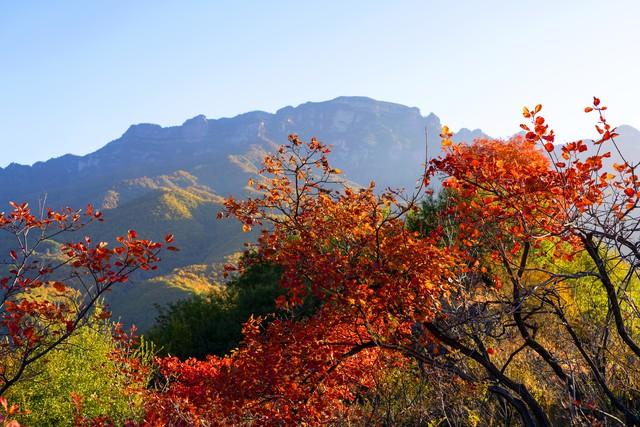 不藏了，河南5个禅意秋景点，帮你在市井中奔波的你寻回内心宁静