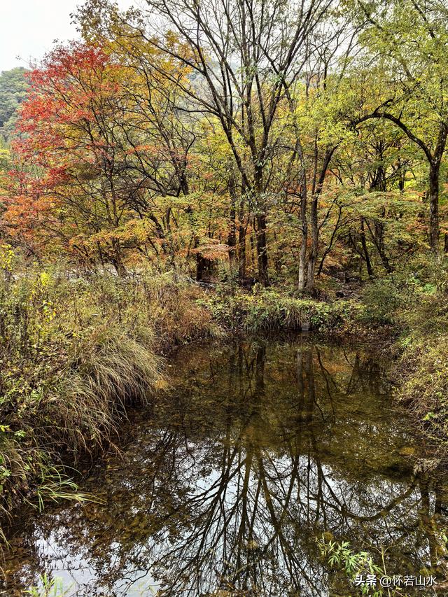 2025辽宁赏秋之旅日记(2)——游览丹东蒲石河森林公园