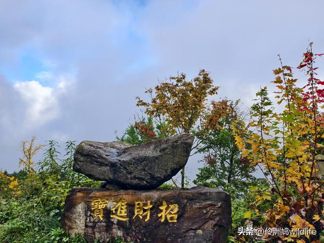 四川行(73)什邡红枫岭徒步到钟鼎寺