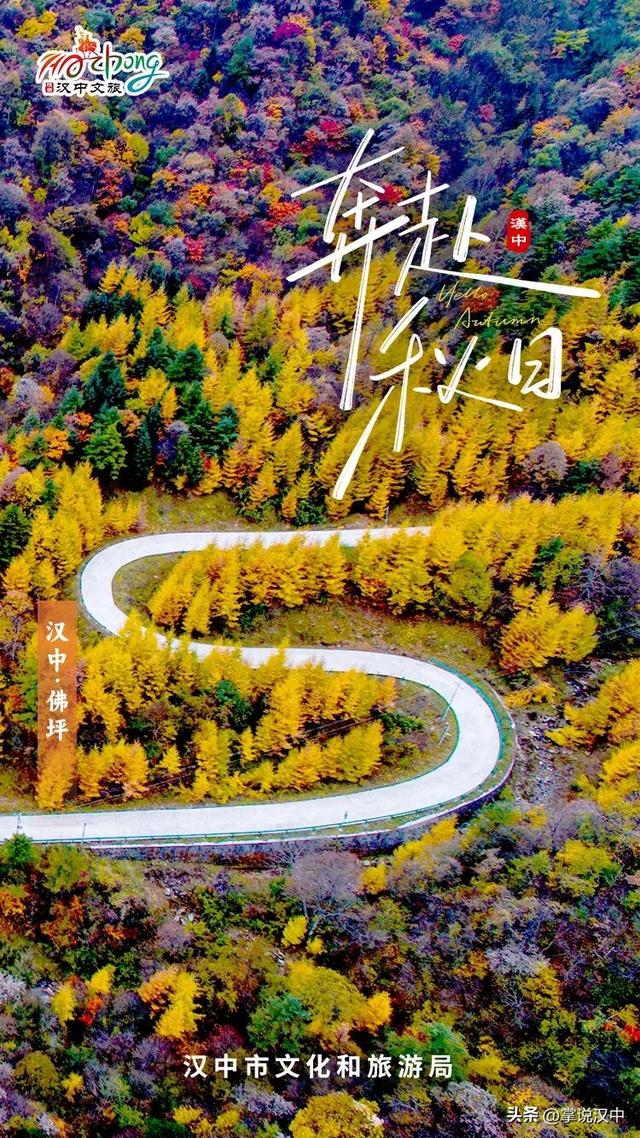 东西南北中，赏秋在汉中！秋日美图上线啦→