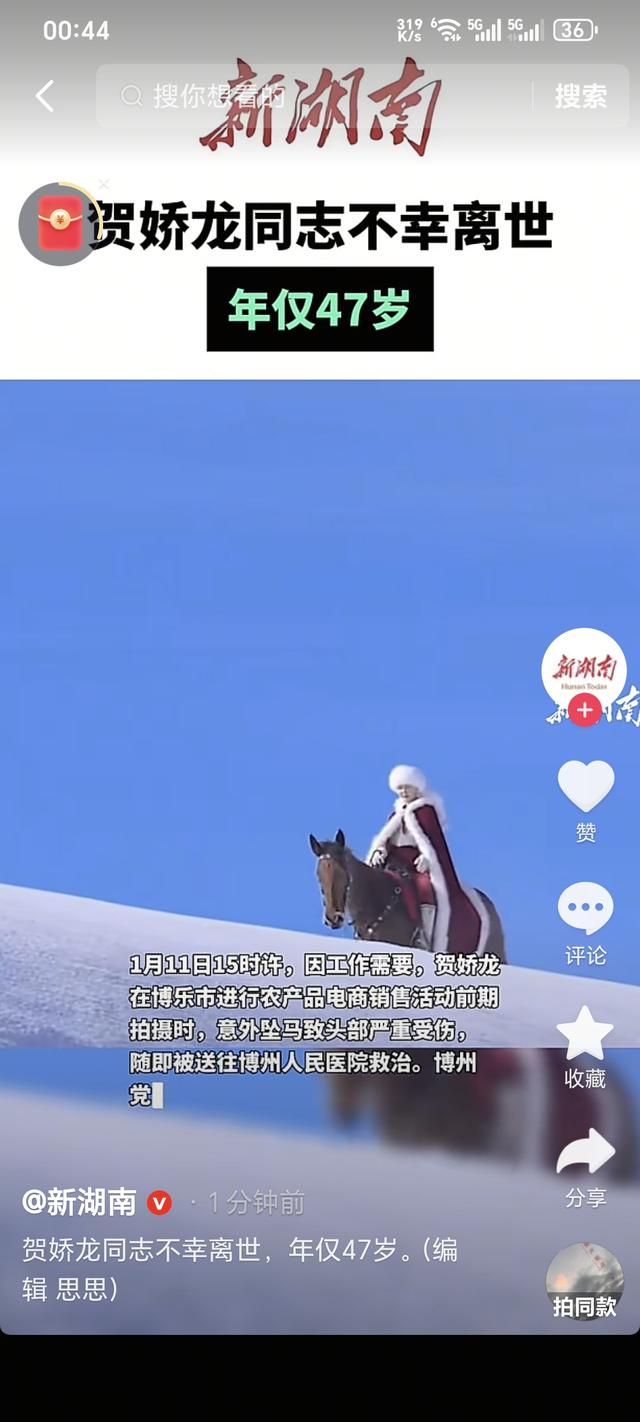 泪尽沙河岸-贺娇龙同志不幸离世